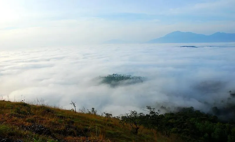 Farm stay The Forest Resort - Muneeswaramudi Eco Hermitage And Farms Tindummal
